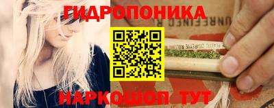 СК Бийск