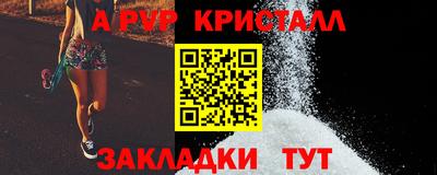 СК Бийск