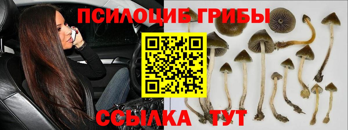 ГАШИШ Златоуст