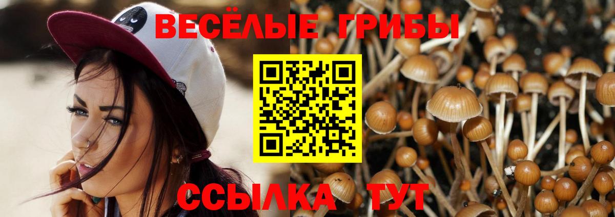 Галлюциногенные грибы Cubensis  Галлюциногенные грибы Psilocybe  Вход с VPN  Златоуст 